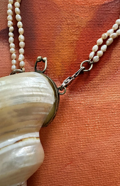 A Shell Purse Necklace